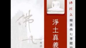 淨土真義 第三集 (粵語翻譯)