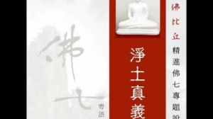 淨土真義 第五集 (華語)